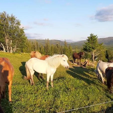 Casa vacanze Skurdalsvoll Nedre Meråker