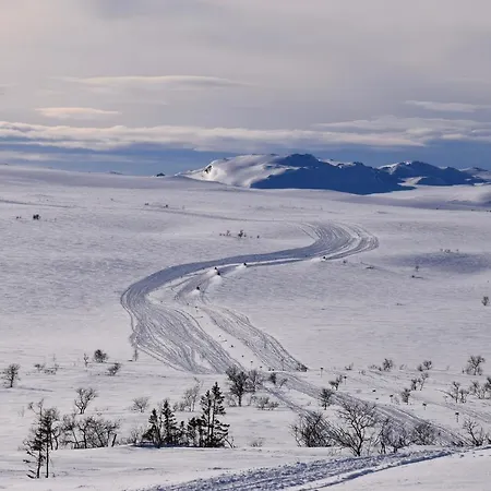 Skurdalsvoll Nedre Casa vacanze *